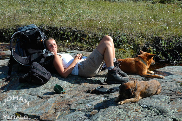Kungsleden Kebnekaise-vakkotavare (22).jpg